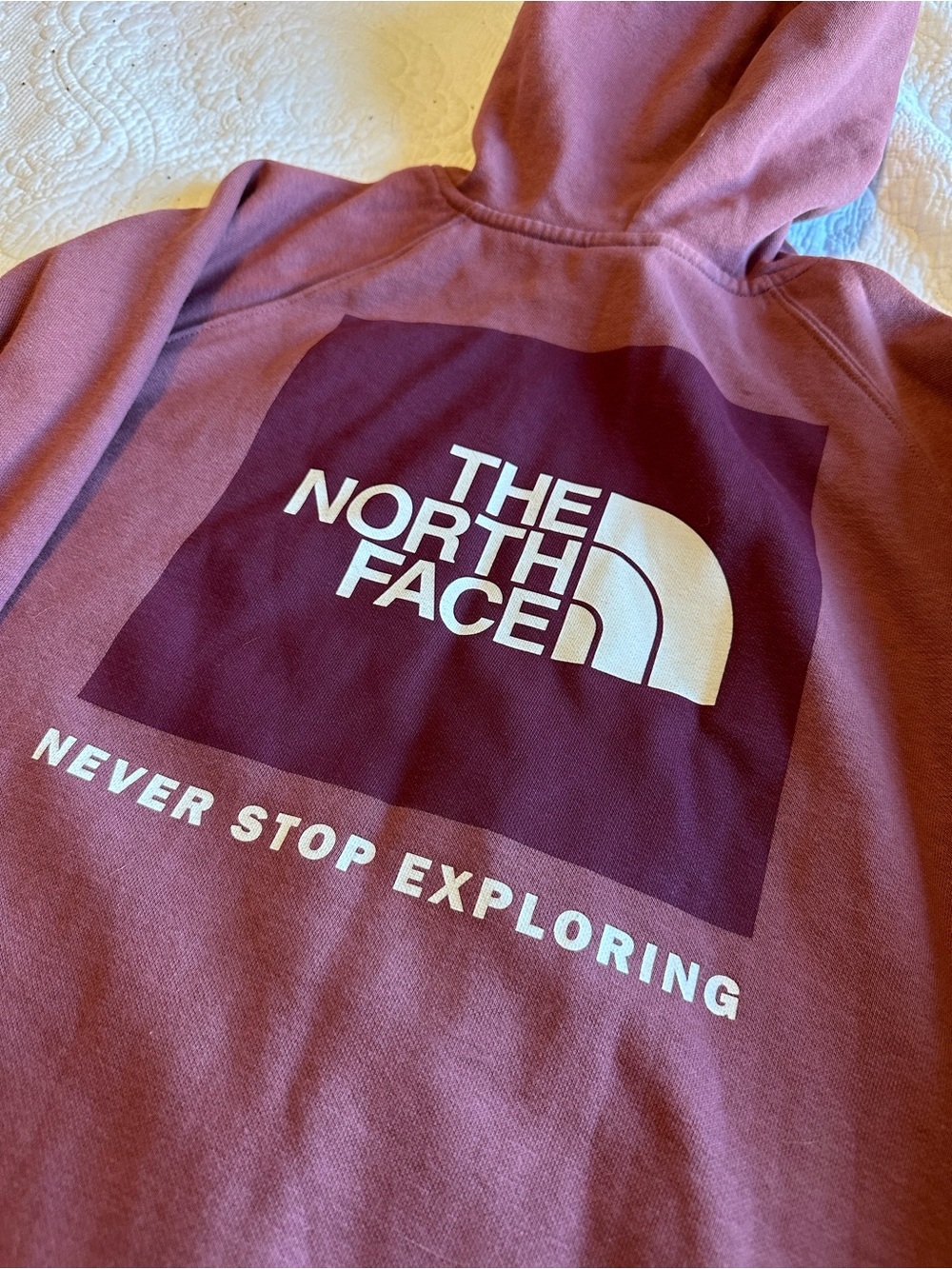 The North Face Box NSE Rosewood/Mauve Logo Pullover Hoodie- Large